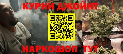 прущие крисы Будённовск