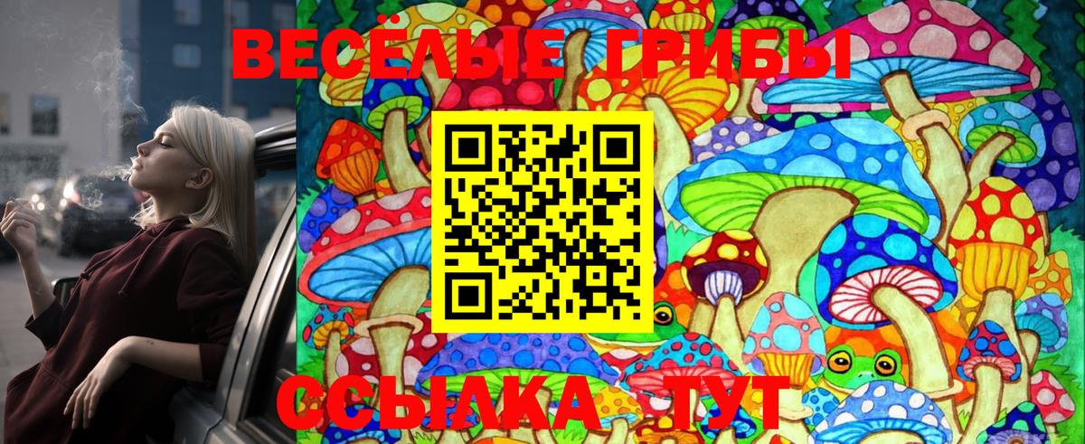 Псилоцибиновые грибы Magic Shrooms Тихвин